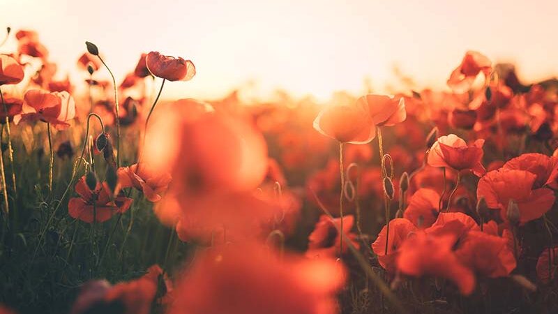 fonctionnement de la voyance